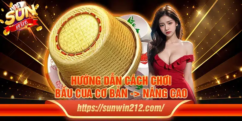 Hướng dẫn cách chơi bầu cua cơ bản -> nâng cao