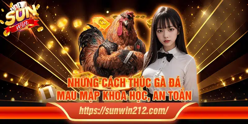 Những cách thúc gà đá mau mập khoa học, an toàn