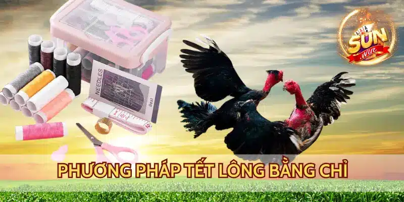 Phương pháp tết lông bằng chỉ hiệu quả cao, chắc chắn